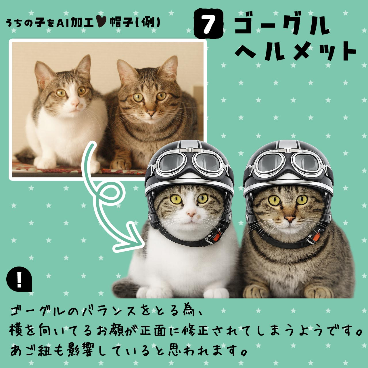 AI_A7goggles2.jpg