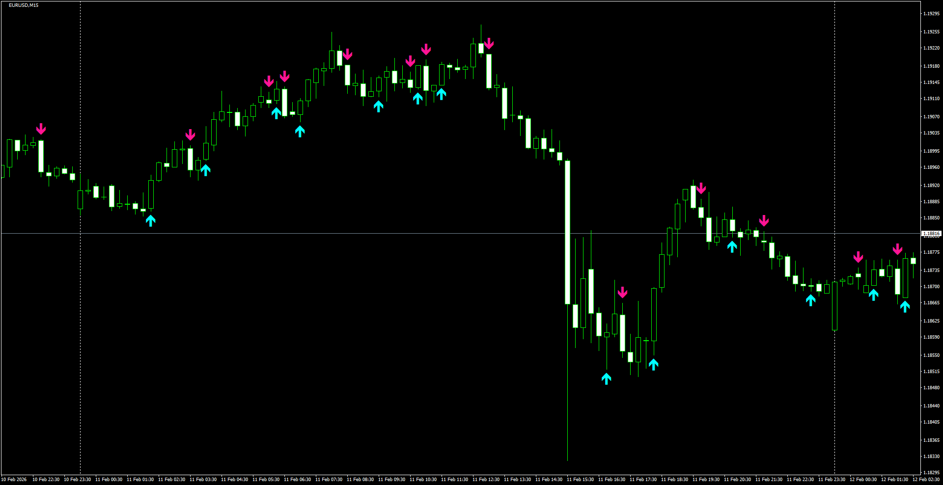 EURUSD(M15)_2026.02.12_205718.png