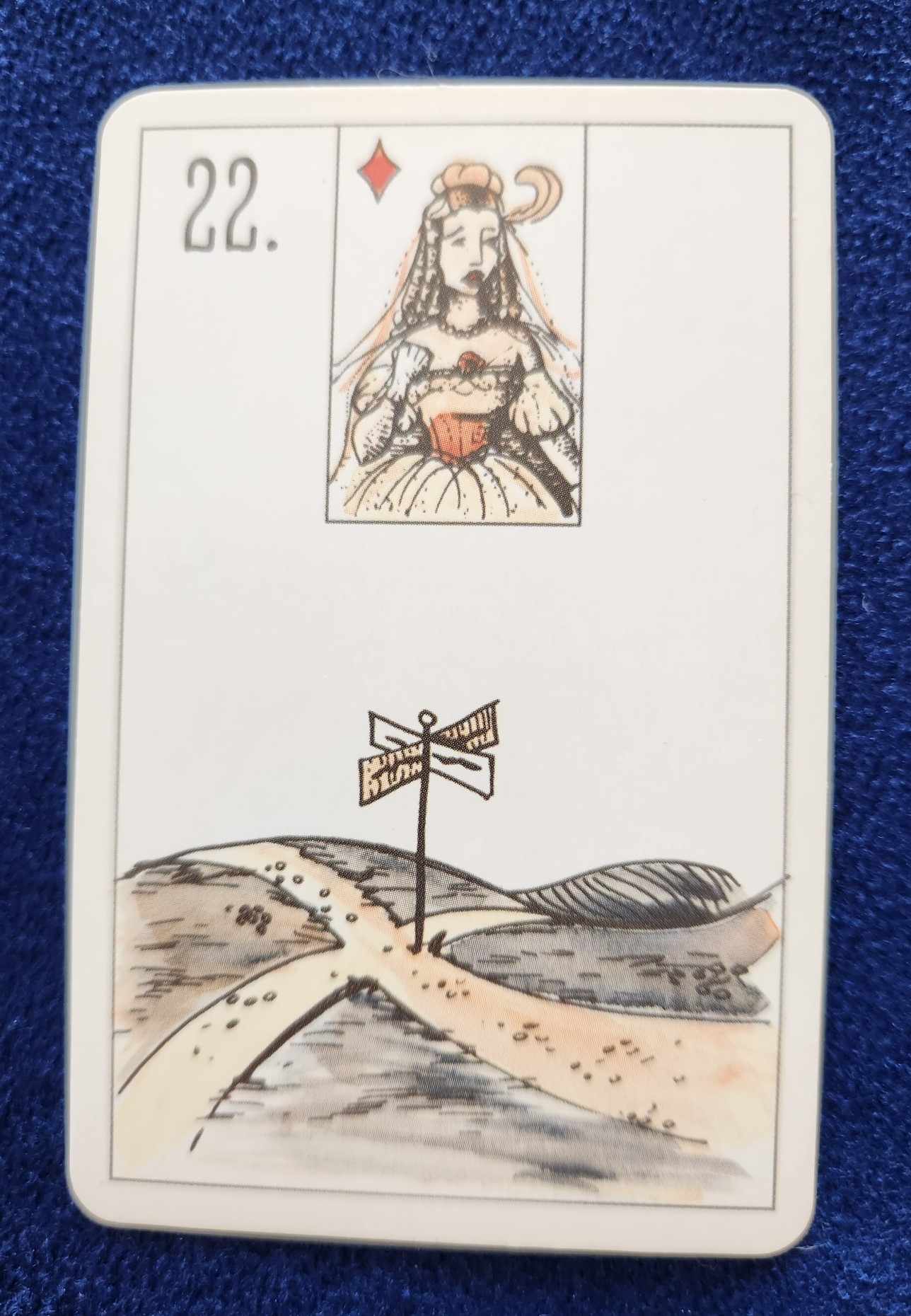 20231103_102252 (002).jpg