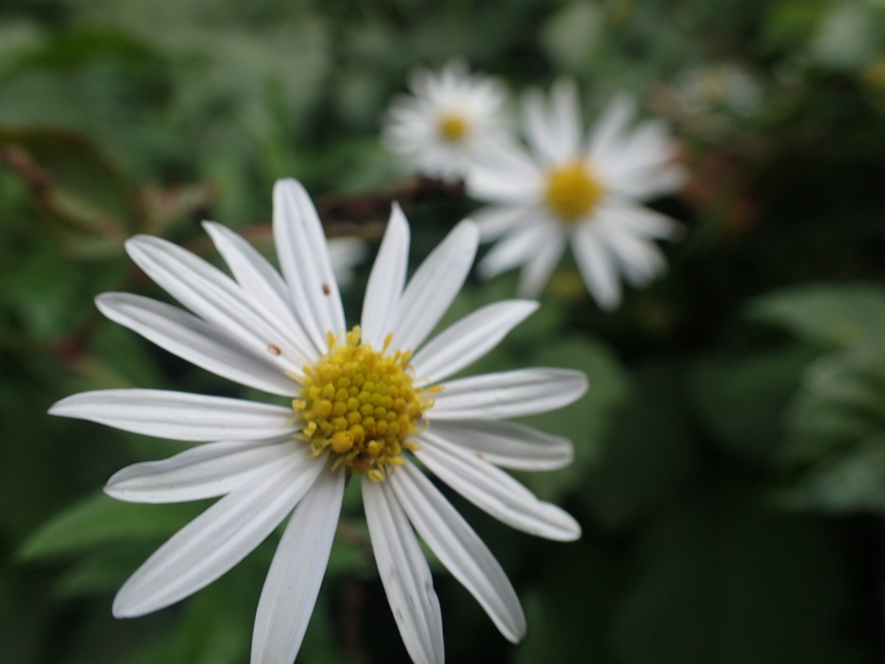 PA210324.JPG
