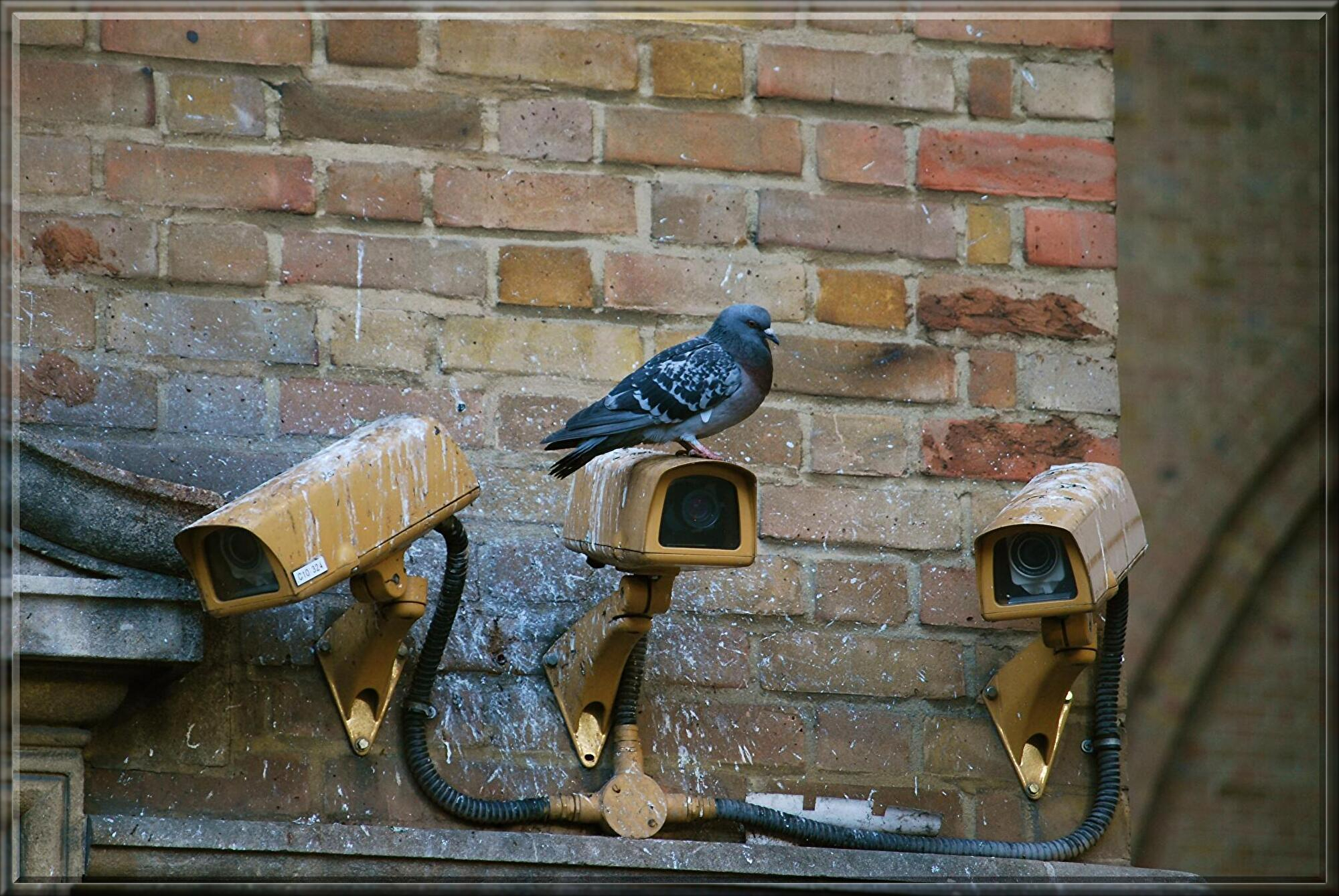 camera-712122.jpg