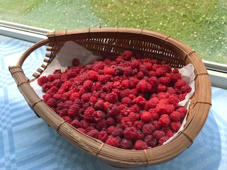 IMG_3609.jpg