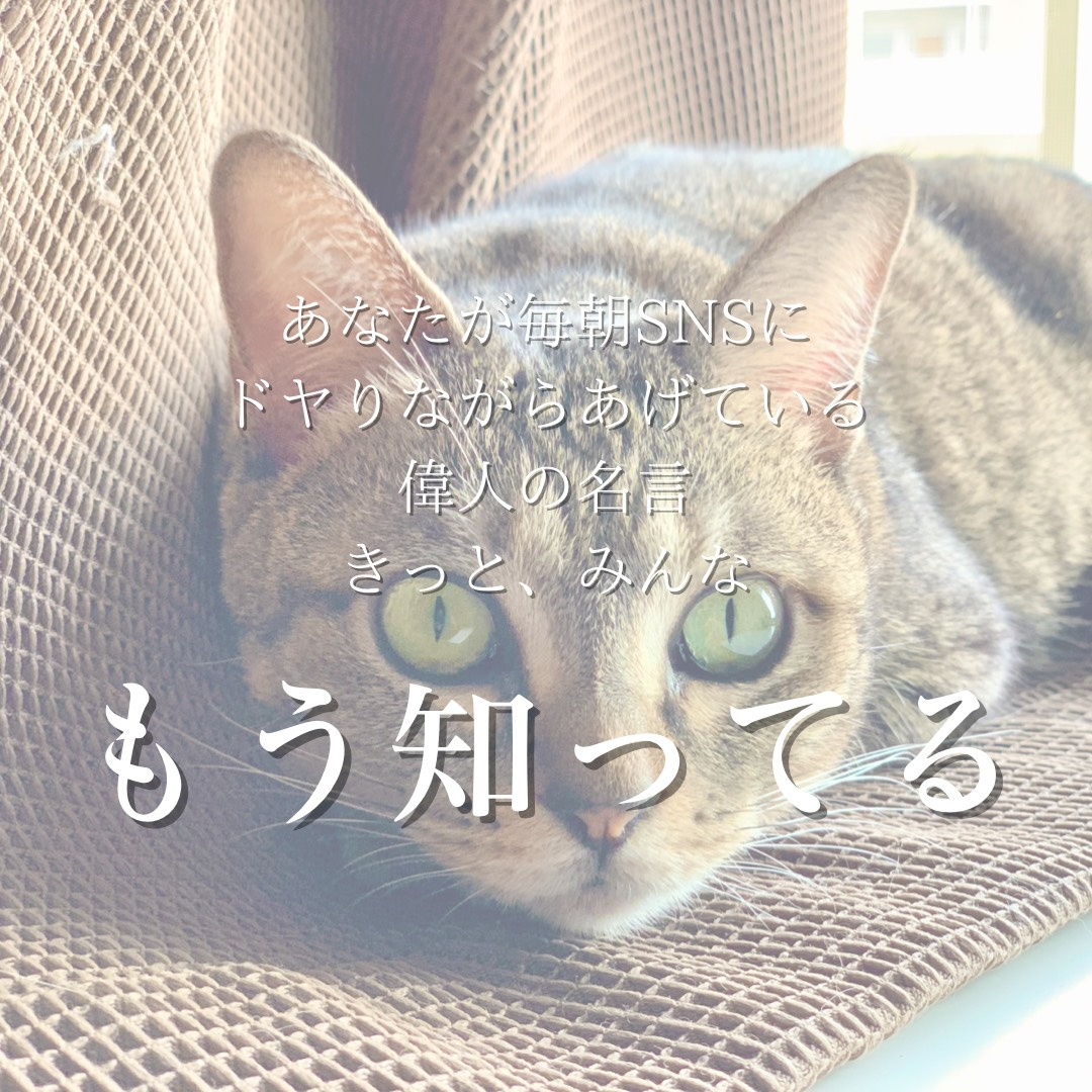 233A23EE-33D1-4171-952D-CBBB24A73D94.jpeg