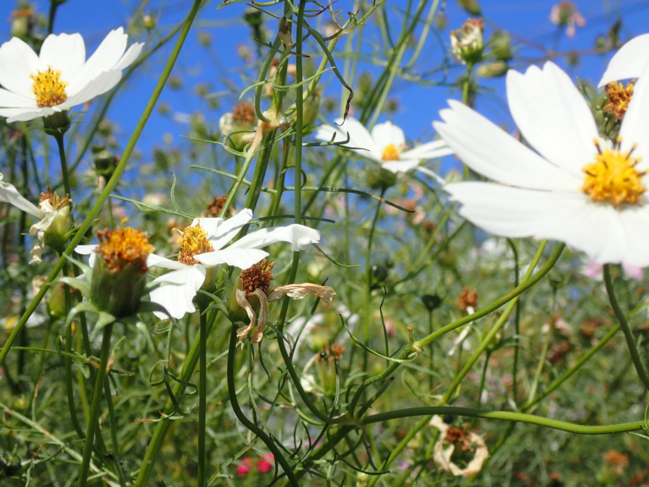 PA220477.JPG