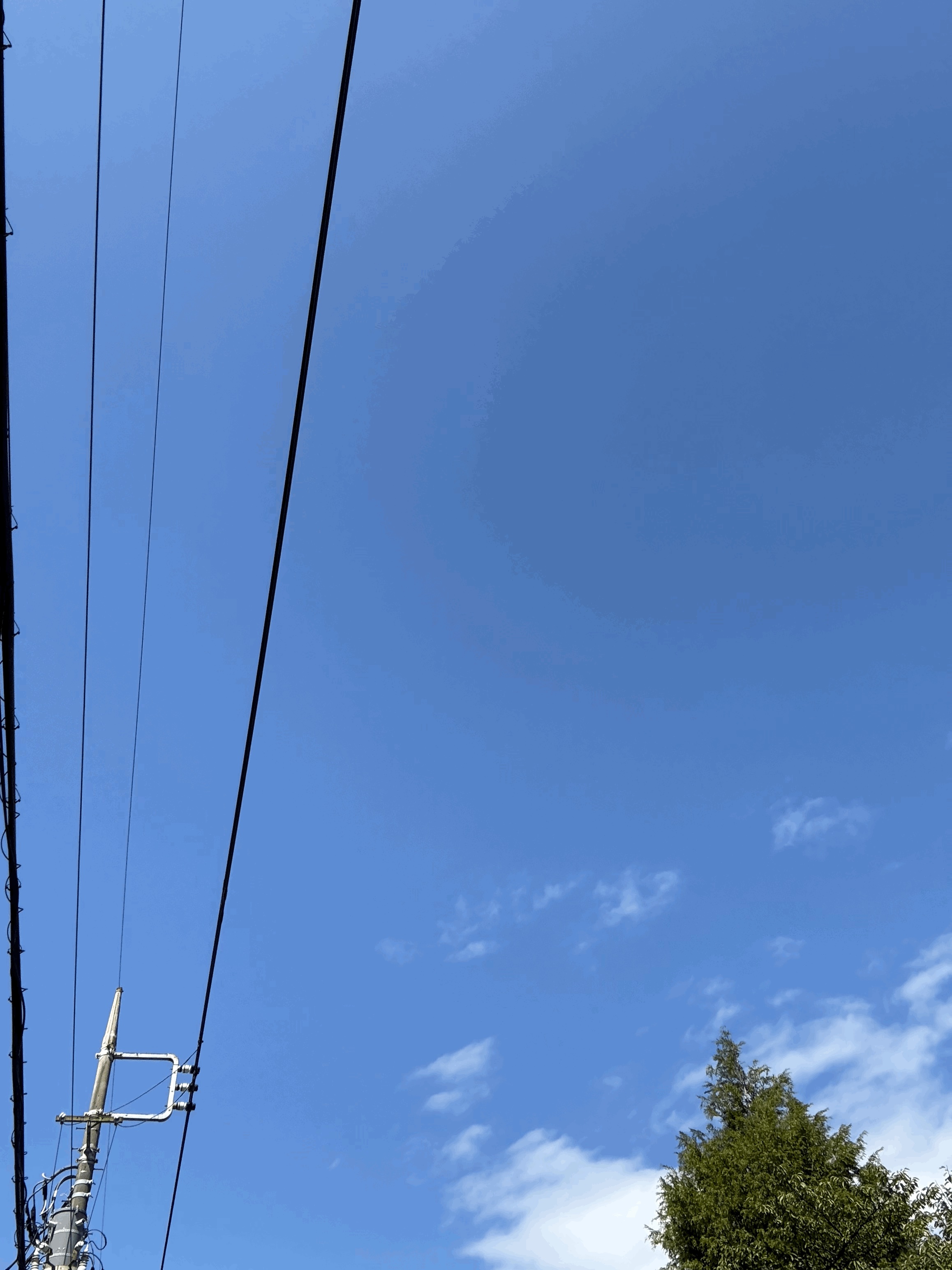 tempImageg66vZS.gif