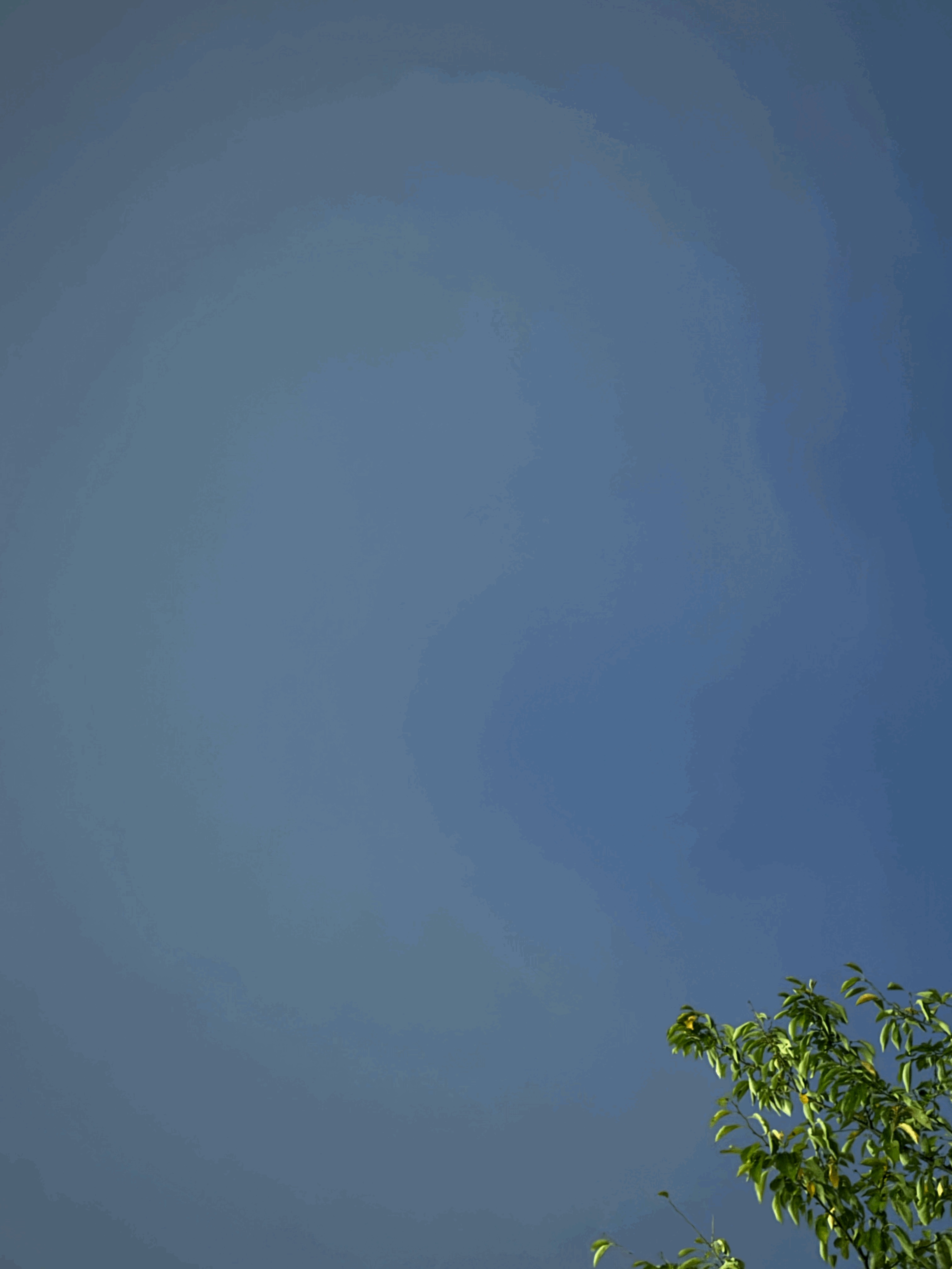 tempImageybfpr2.gif