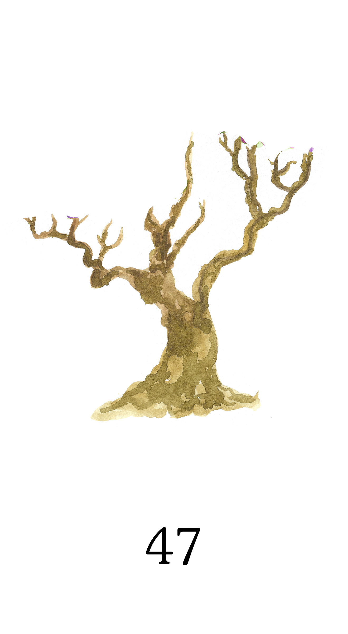 41-のコピーのコピー.png