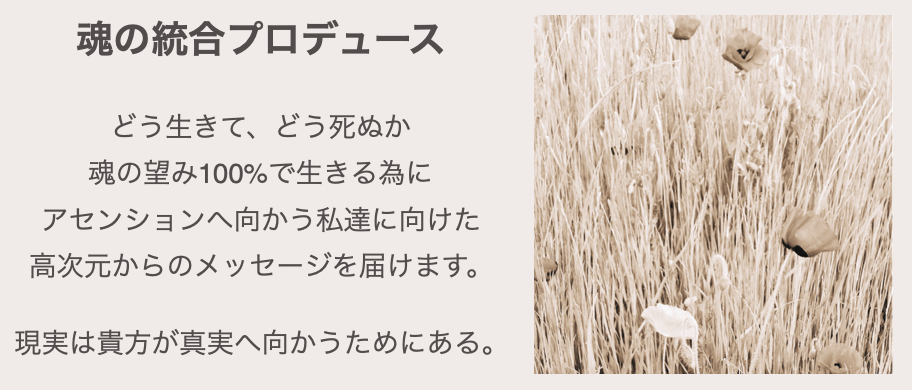 スクリーンショット 2024-08-09 13.11.01.png