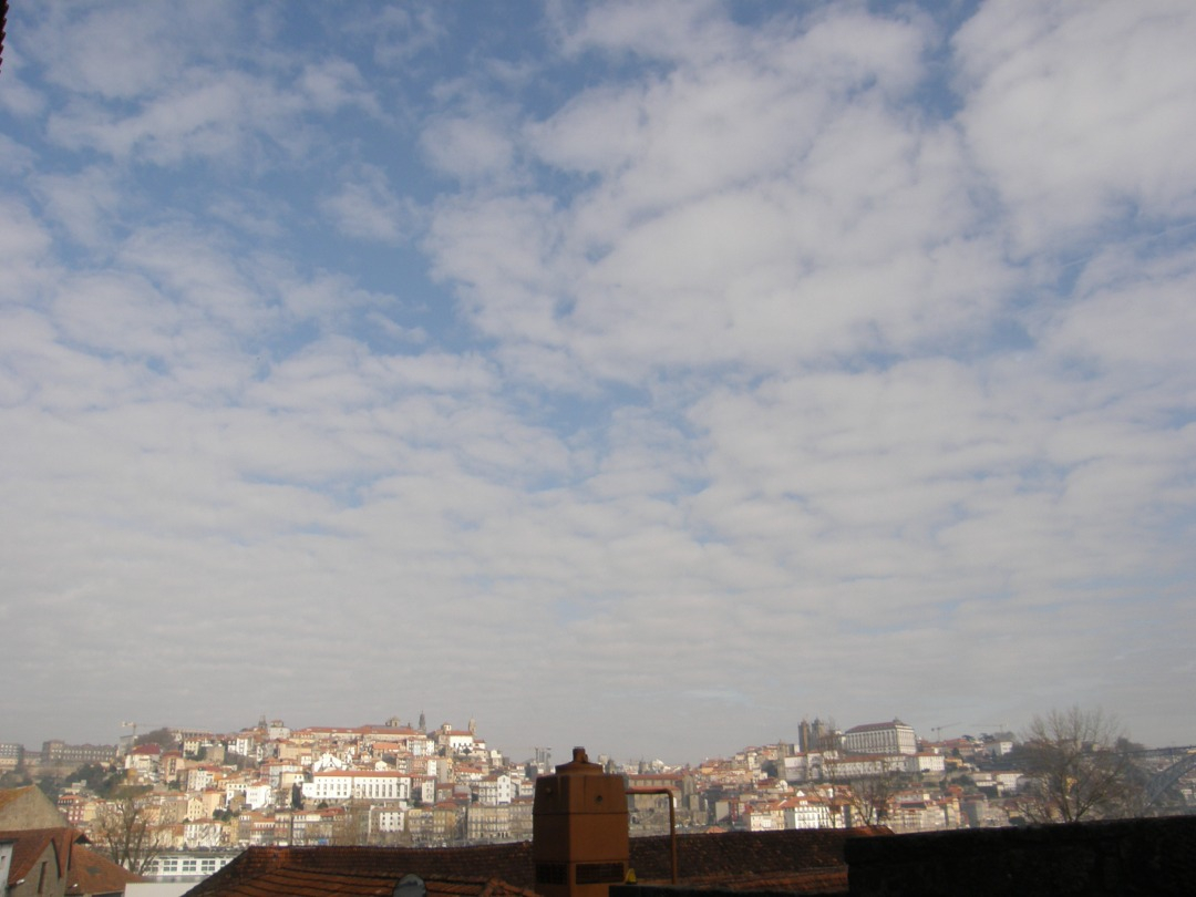 P1240932.JPG