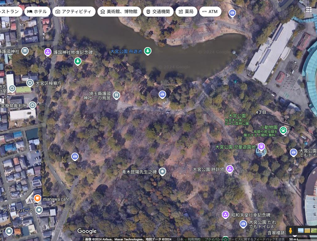 氷川神社-2.PNG