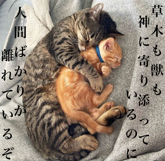 草木も獣も.png