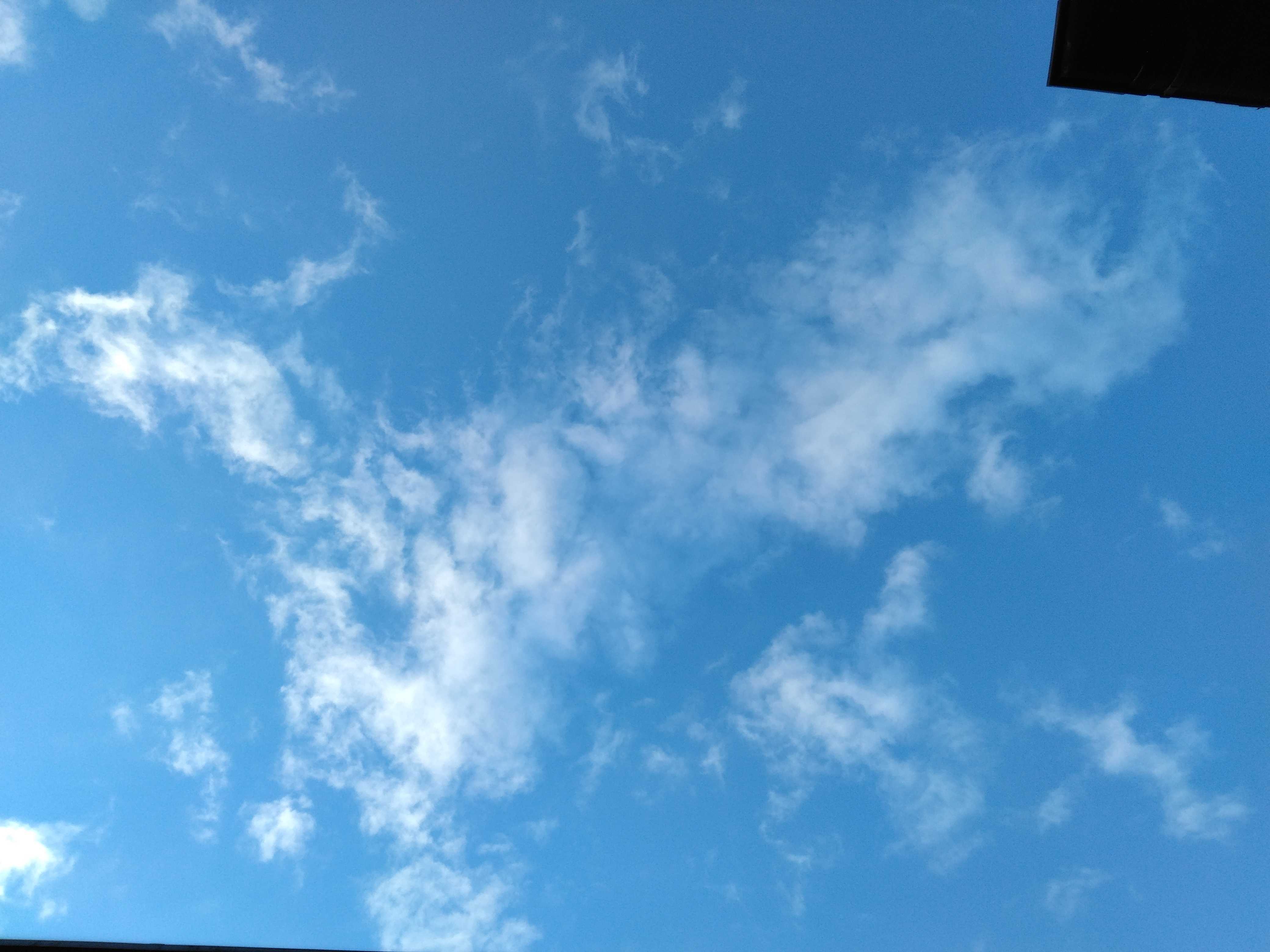 IMG_20241230_072849.jpg