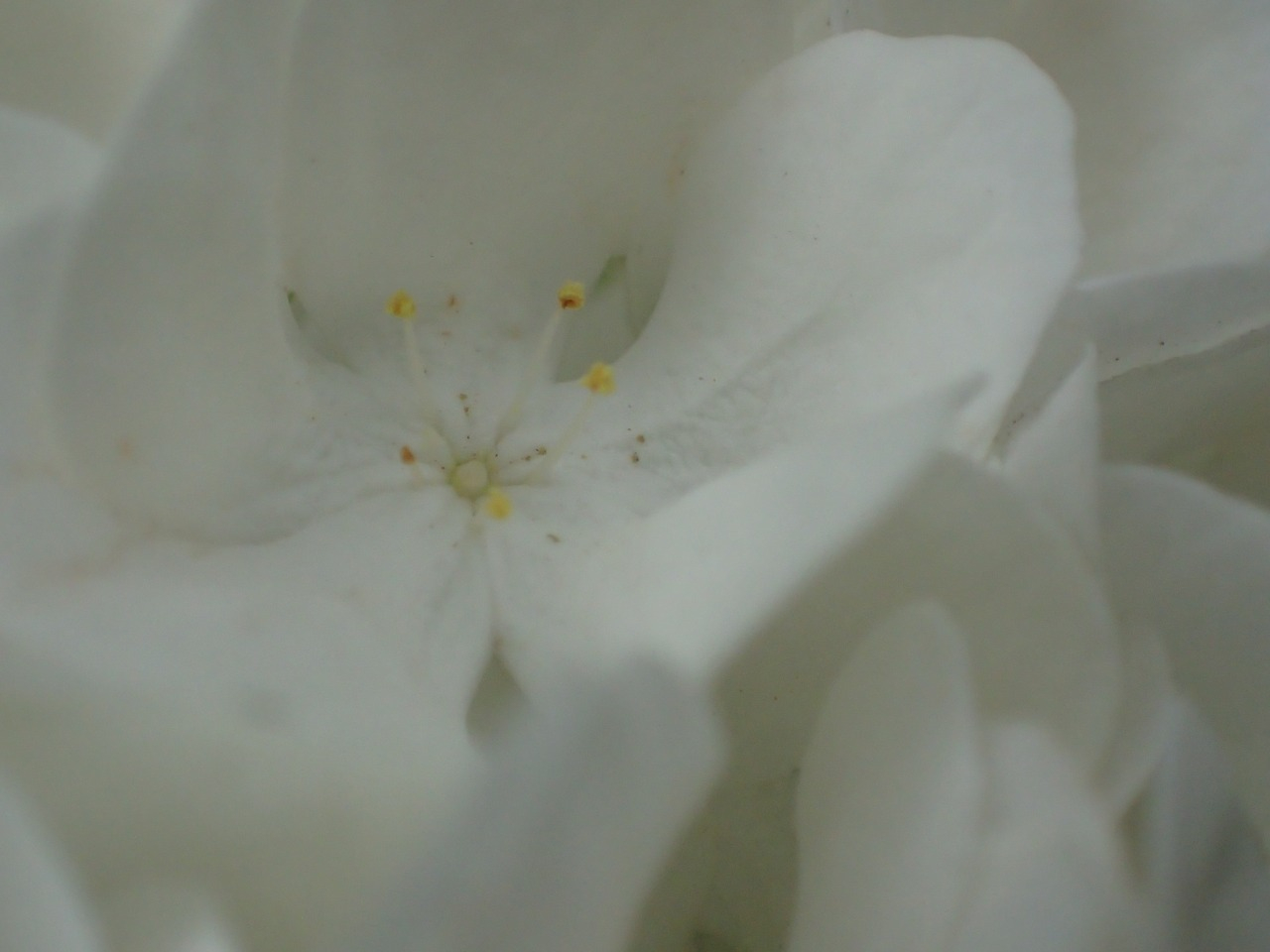 P4270982.JPG