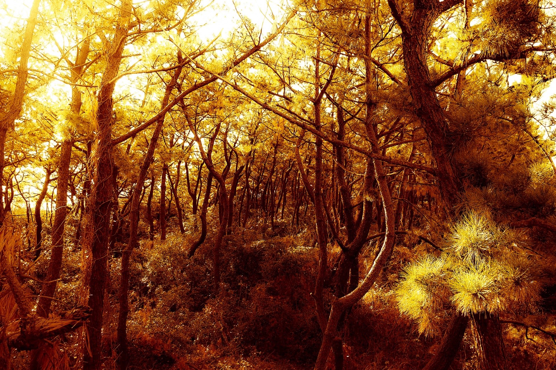 48B151B2-4161-45DA-B439-55C1053047F8.jpeg