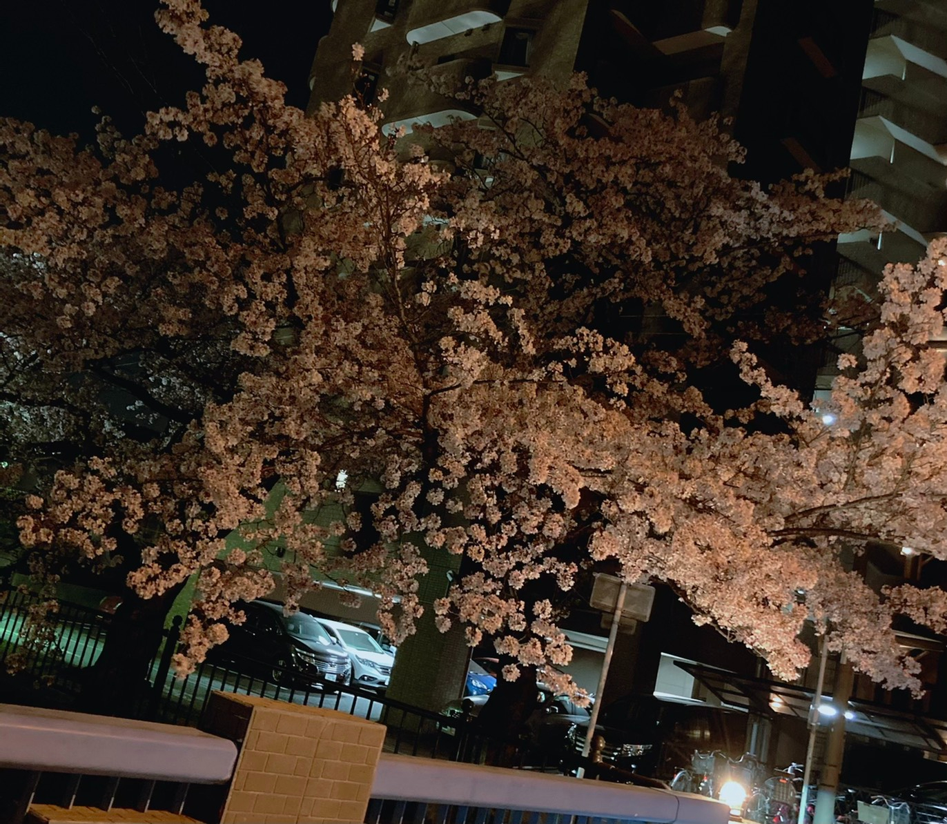S__317382660.jpg