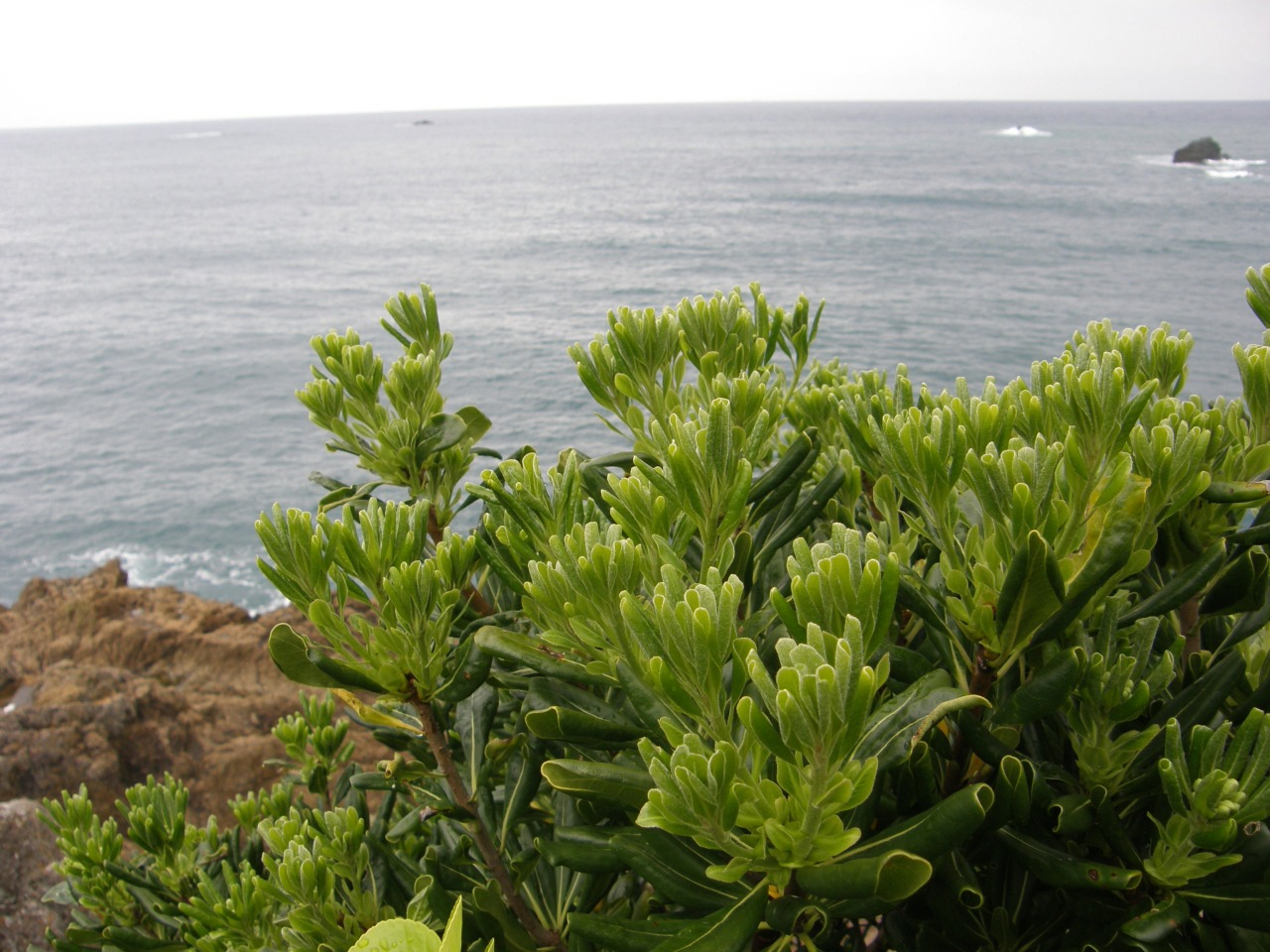 P4150158.JPG