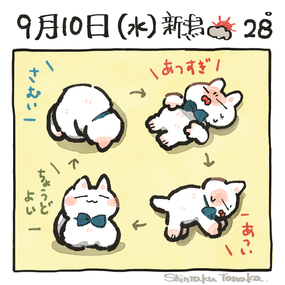 sns 9-10.jpg