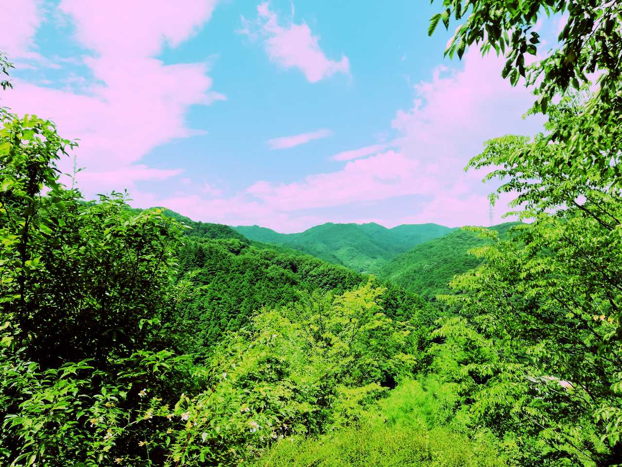 IMG_20220803_104656.jpg