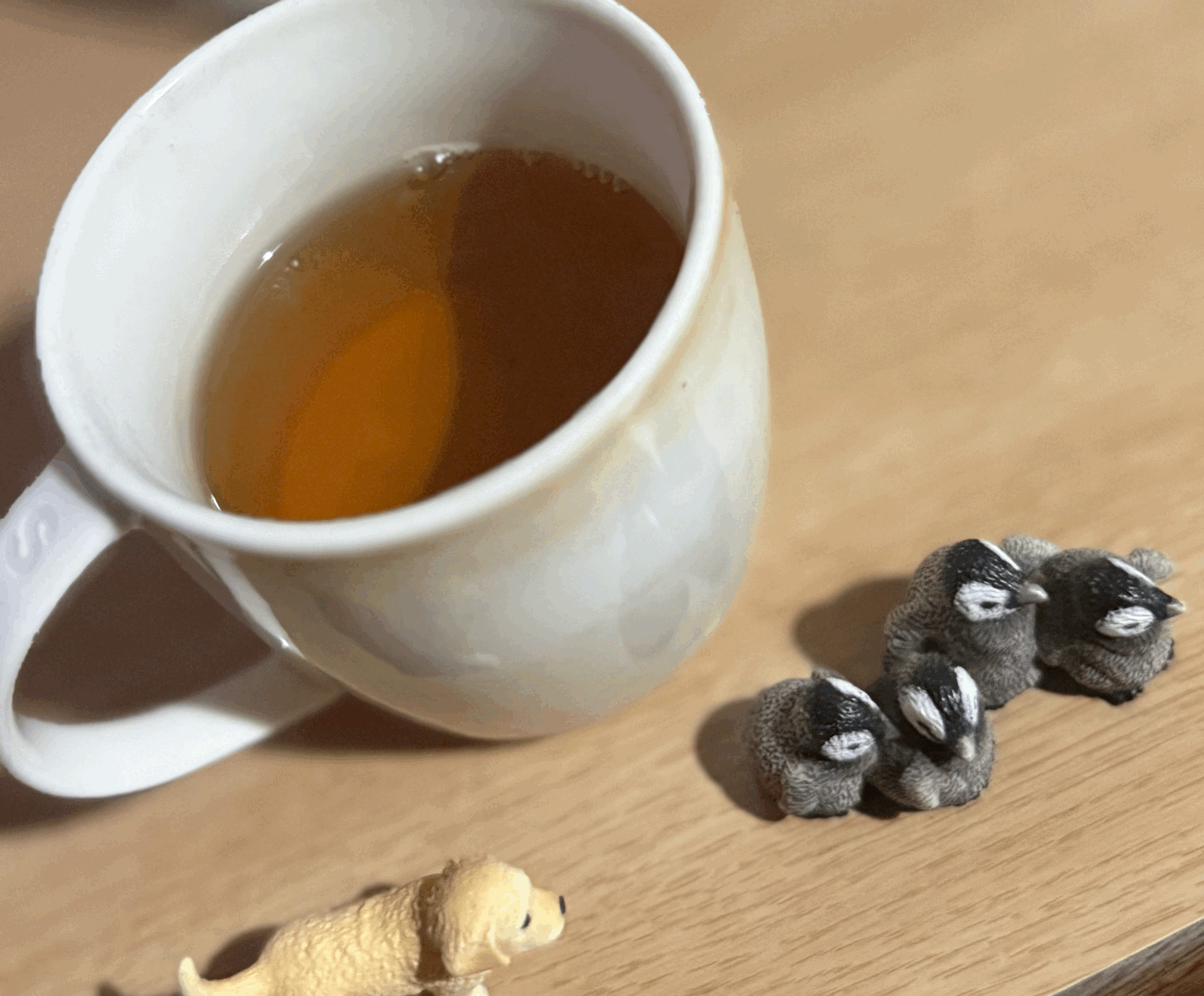 tempImageueOioc.gif