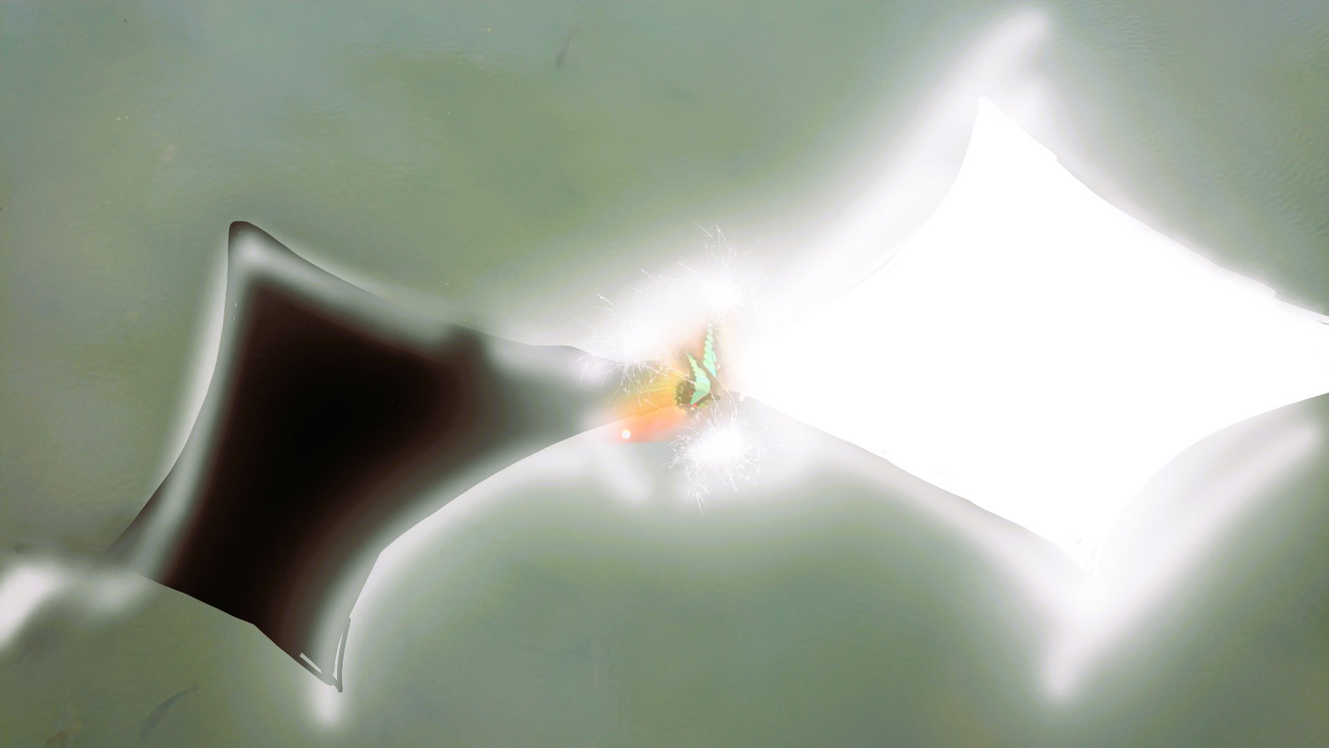 sketch-1791613406046oo0.png