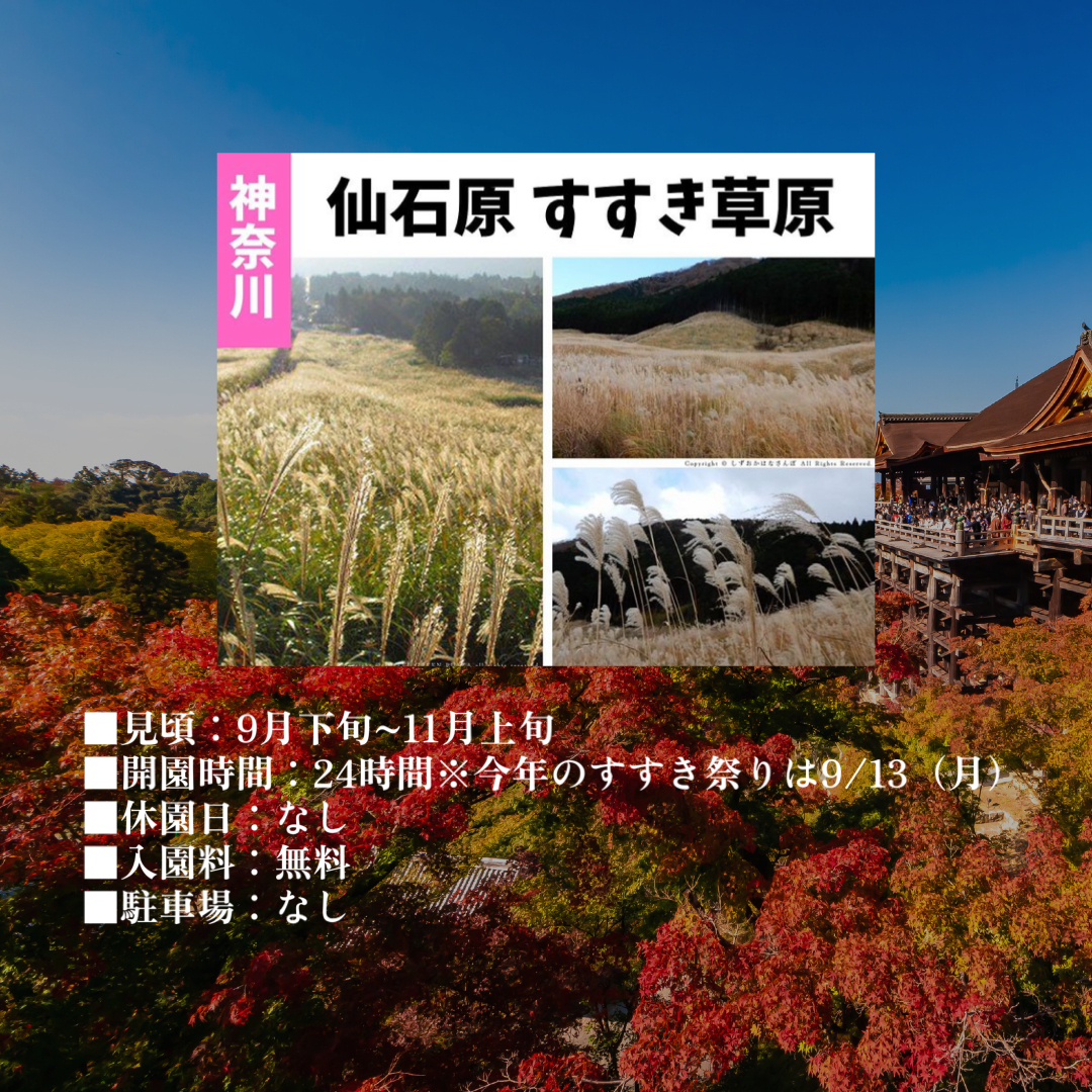 秋の観光スポット記事　神奈川.PNG