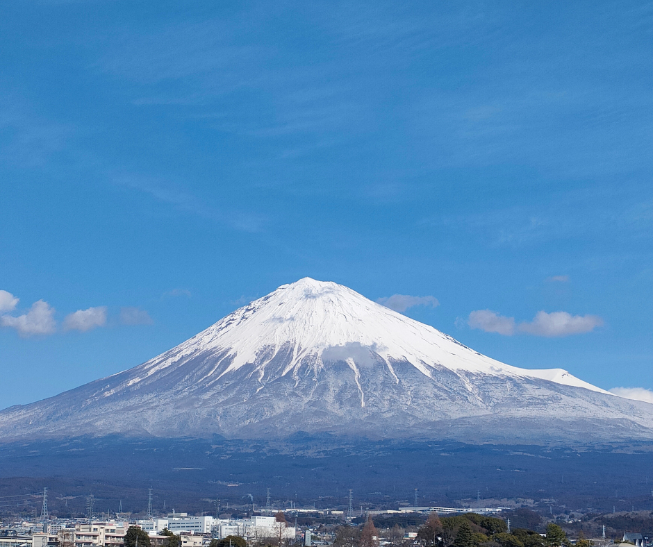 名称未設定のデザイン - 2025-01-02T165101.709.png
