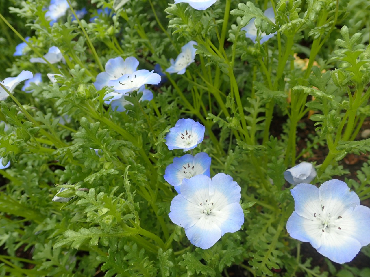 P4050280.JPG