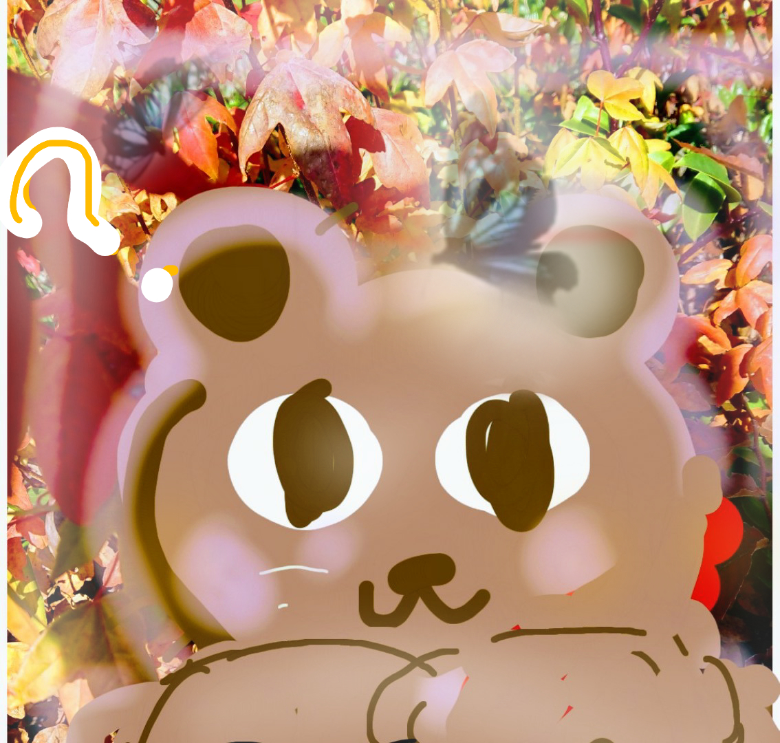 sketch-1731405892117.png