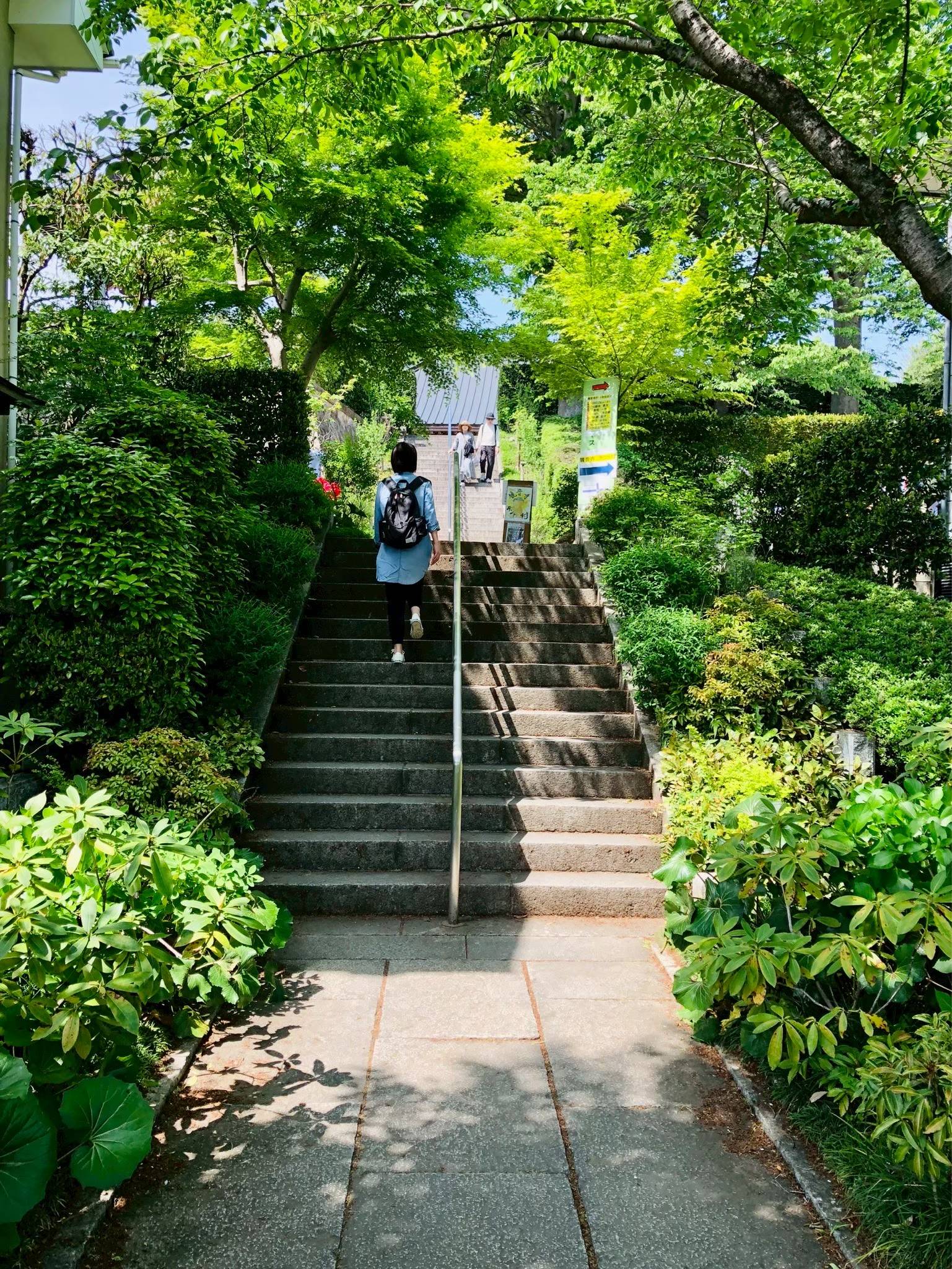 LINE_ALBUM_250505〈益子 春の陶器市〉_251117_2.jpg