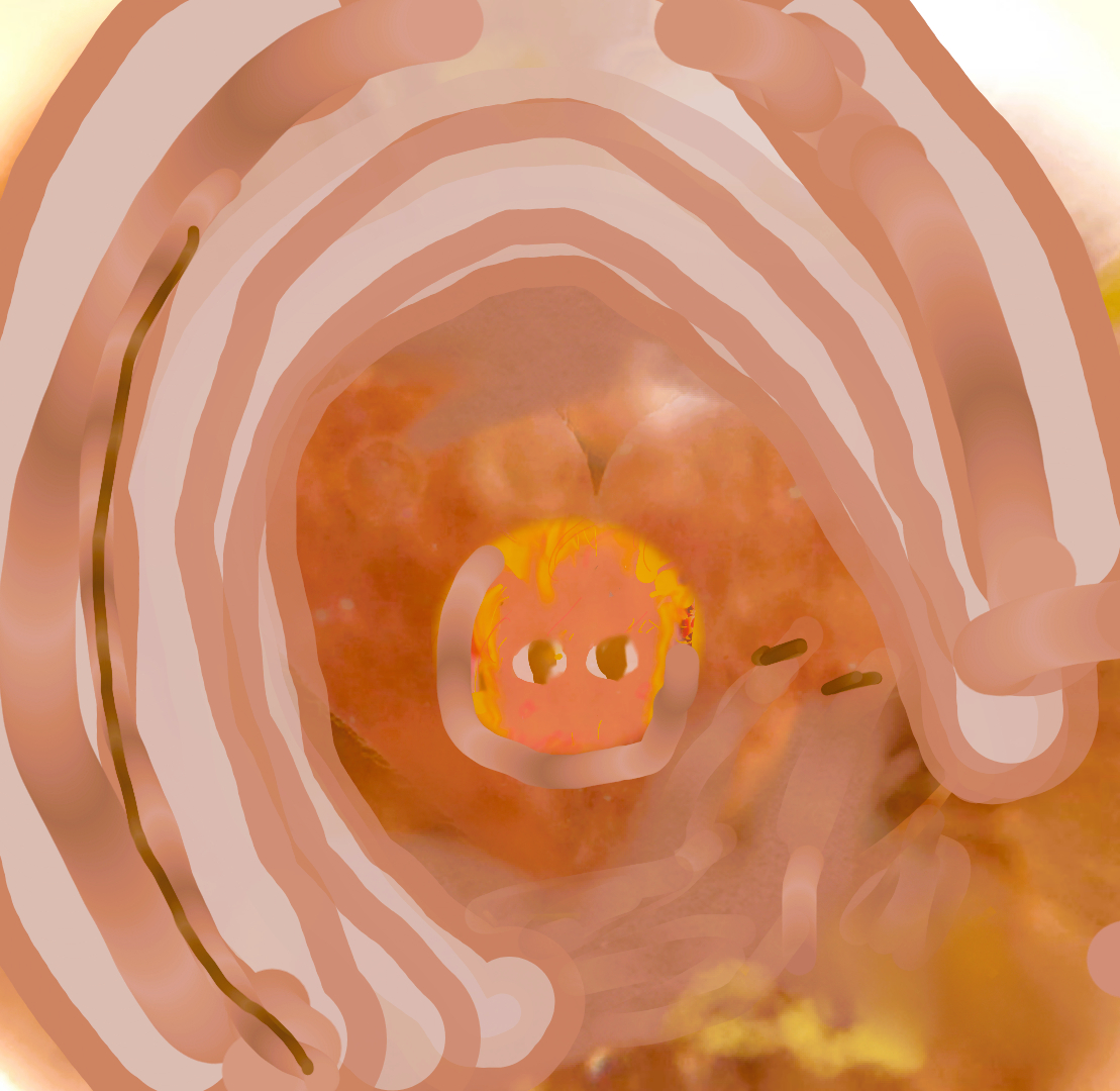 sketch-1767863811028www222.png