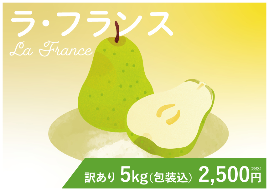 nouhin_illust.png