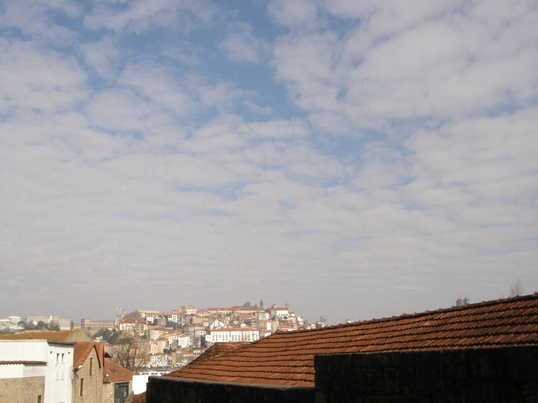 P1240935.JPG