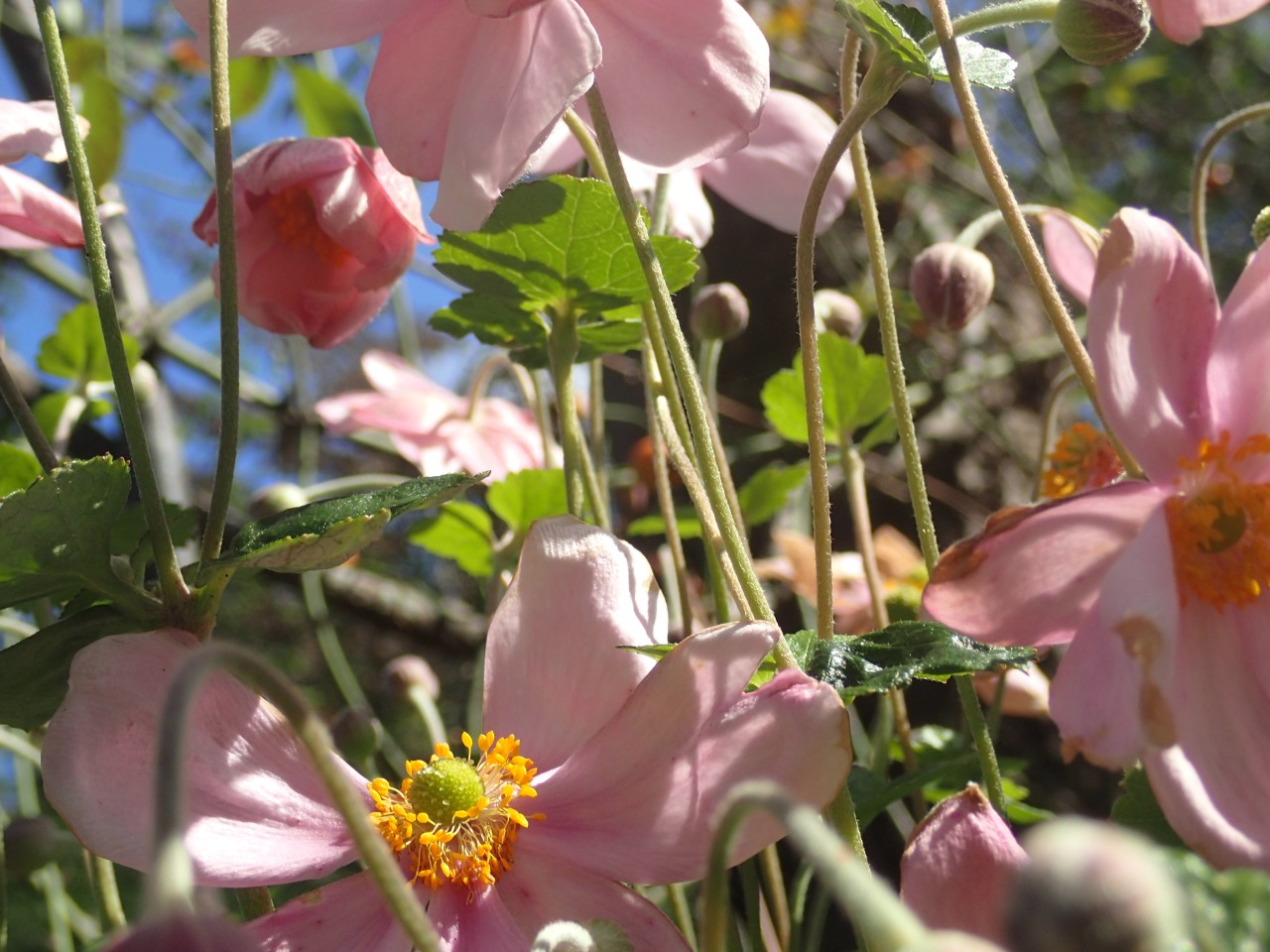 PA120674.JPG