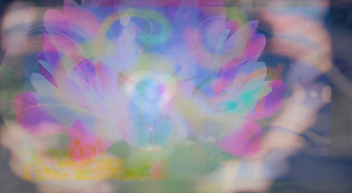 sketch-1668641510084 (3).png