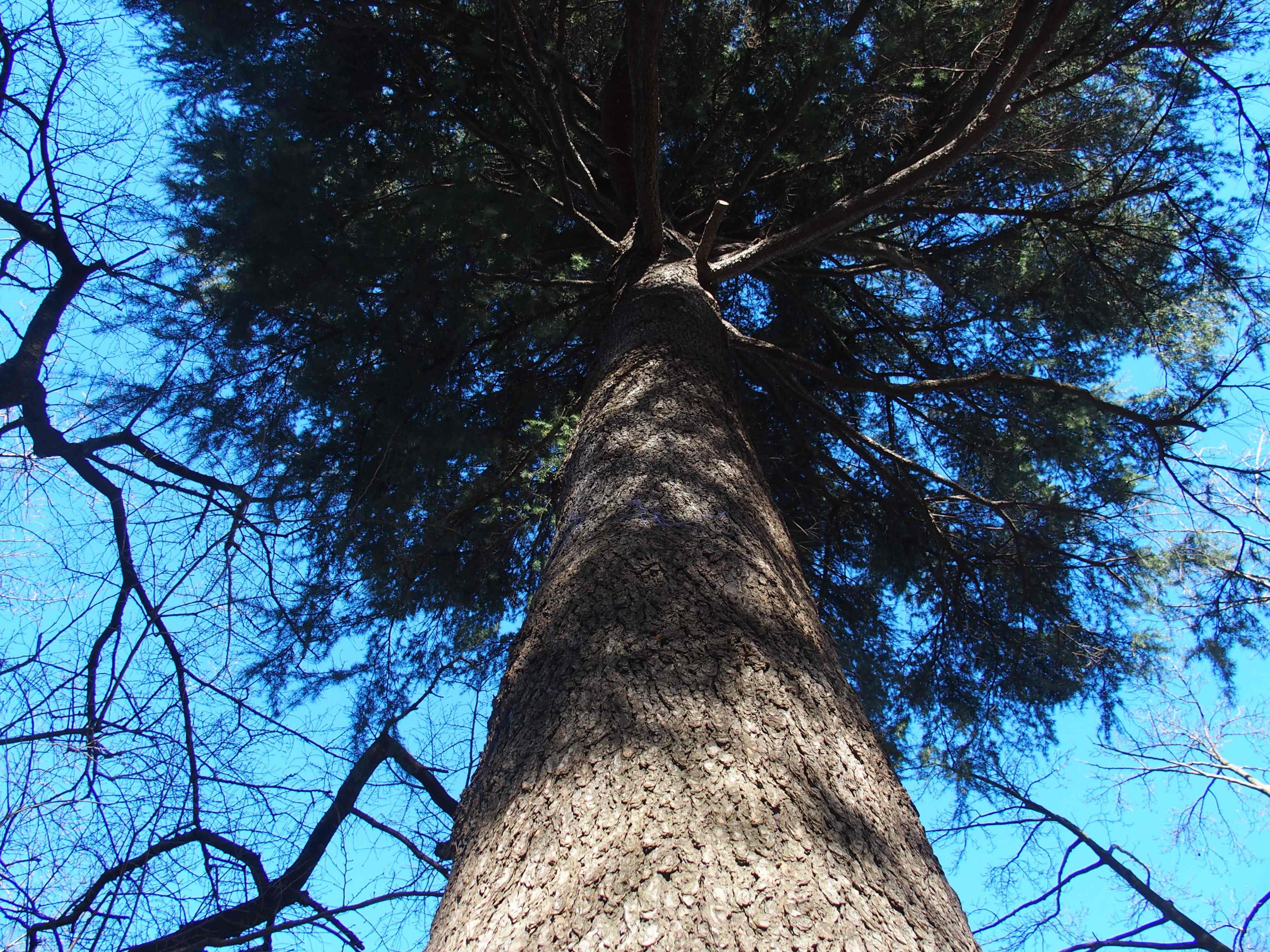 P1010568.JPG