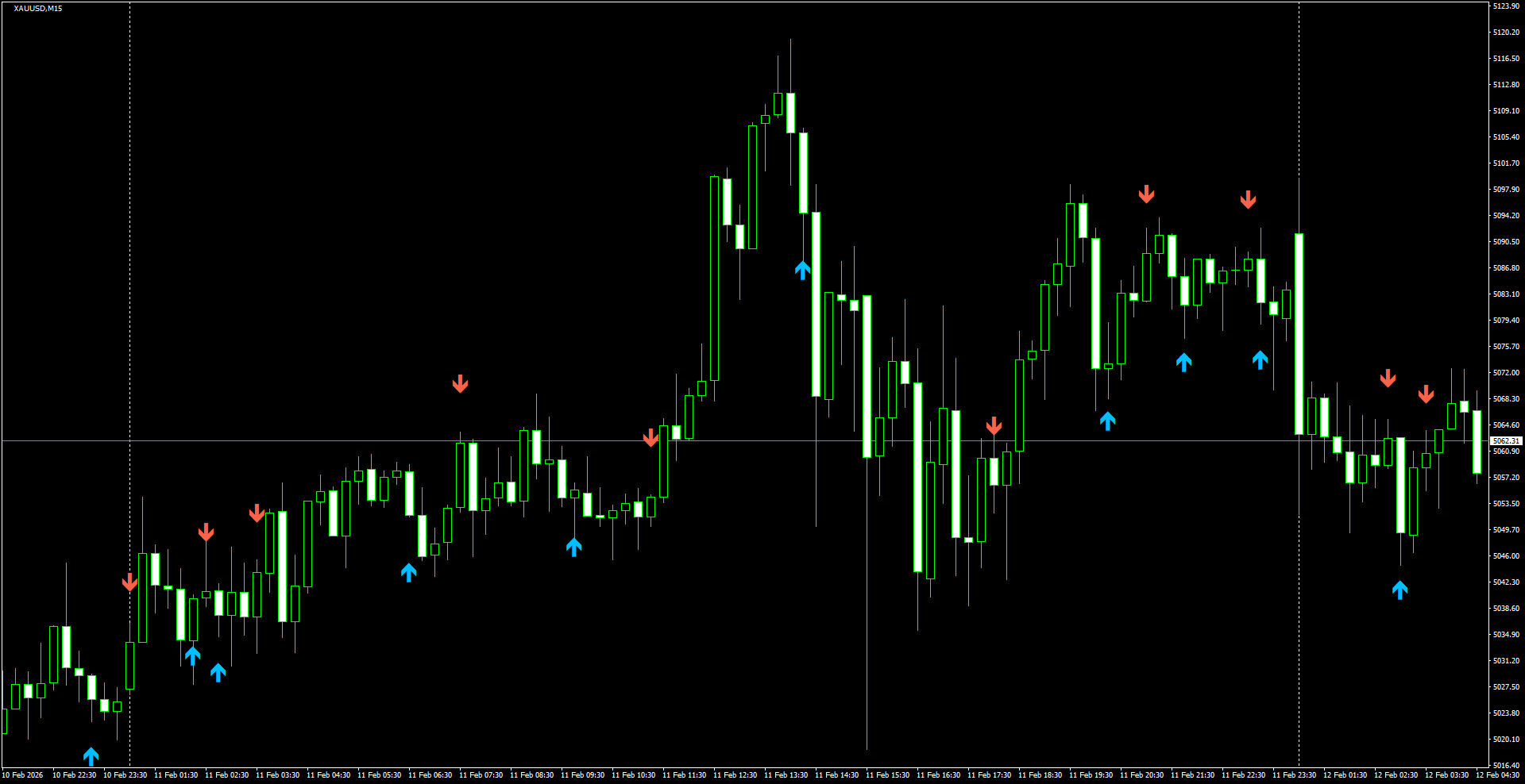 XAUUSD(M15)_2026.02.12_205822.png