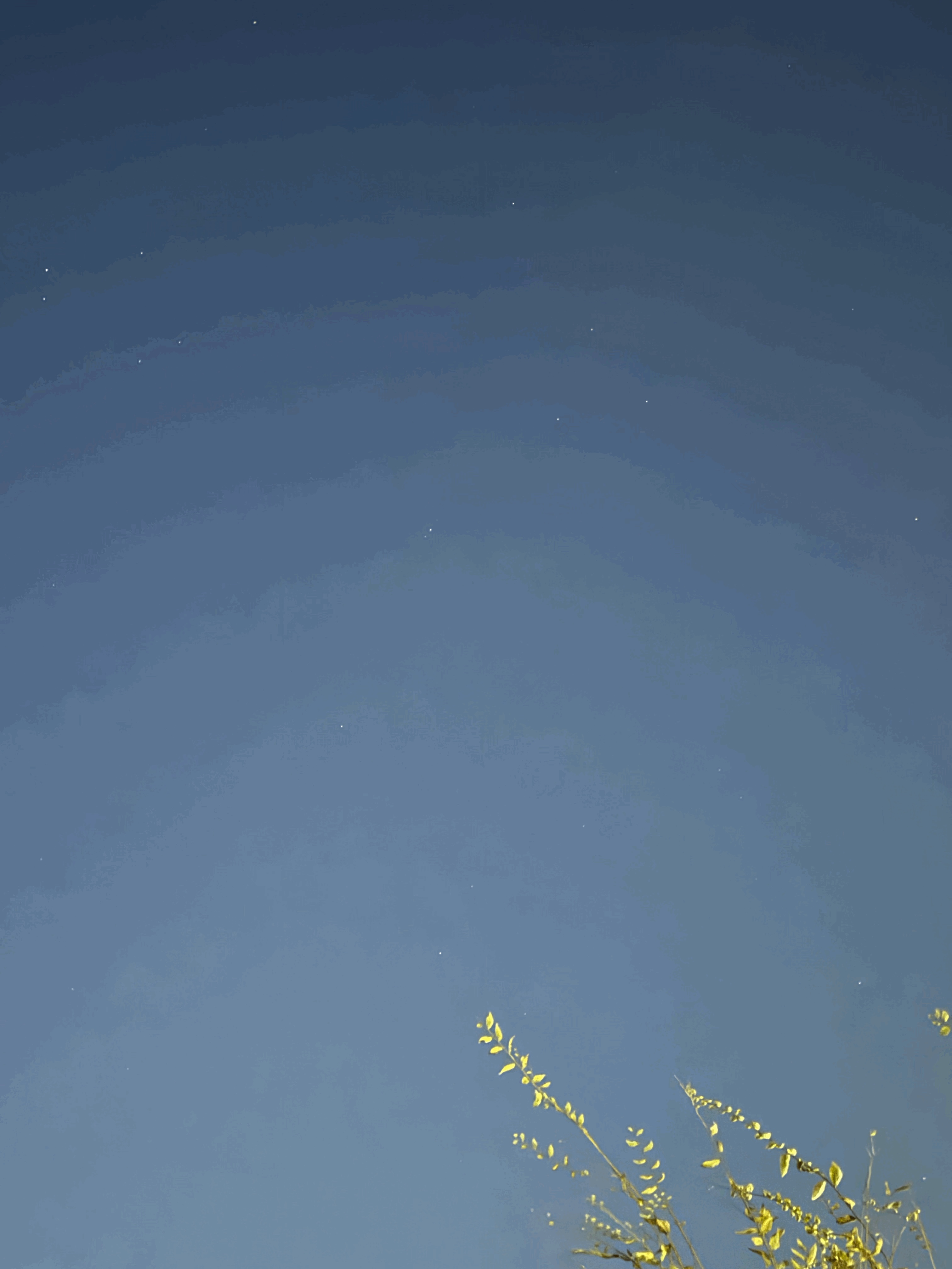 tempImage82iQ7X.gif