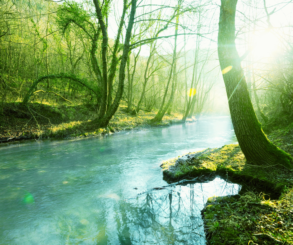 名称未設定のデザイン - 2024-03-03T013808.960.png