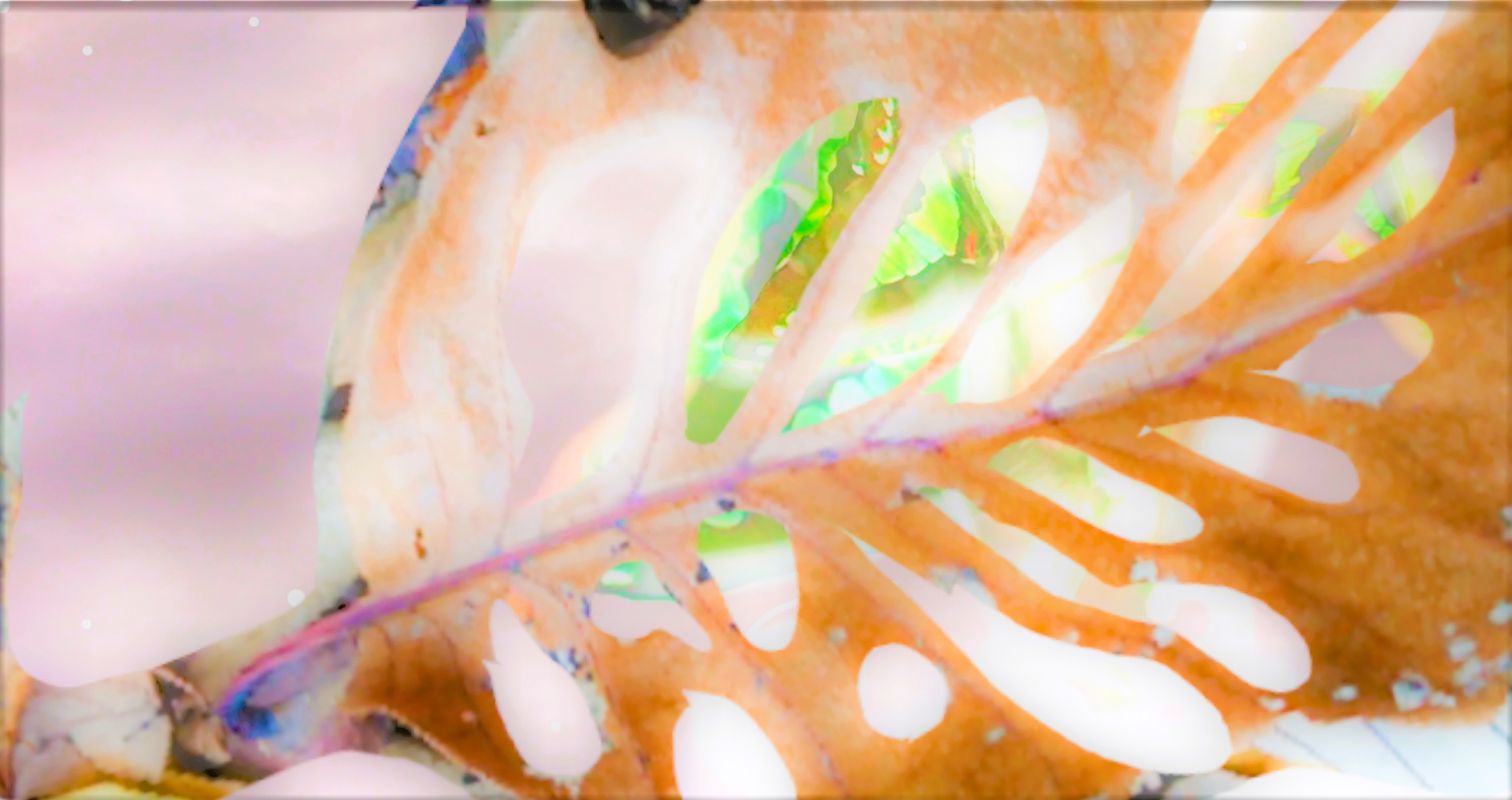 sketch-1669870641262 (2)01.png