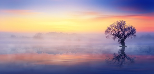 nature-3108066_640.jpg