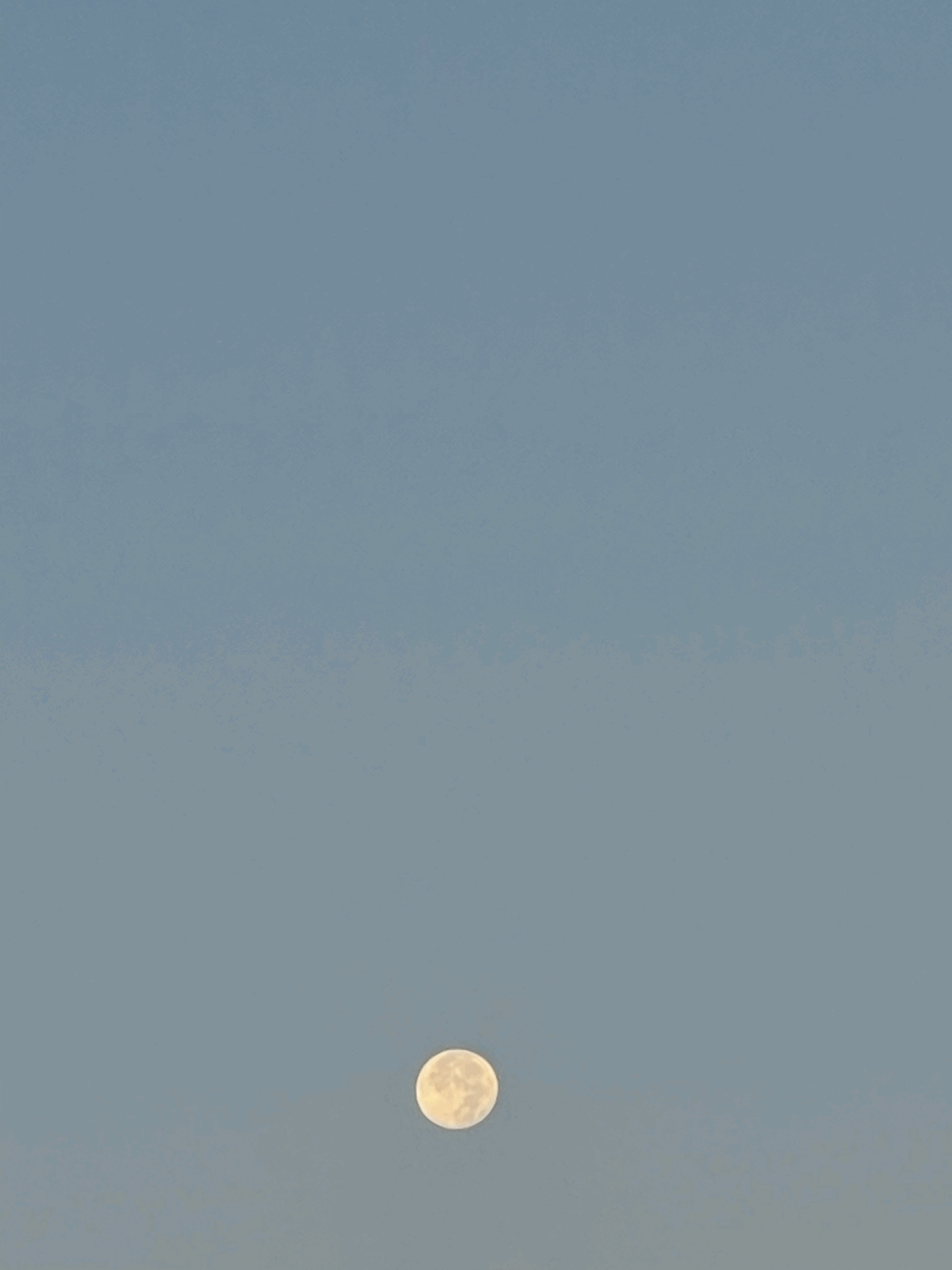 tempImageKcvF9W.gif