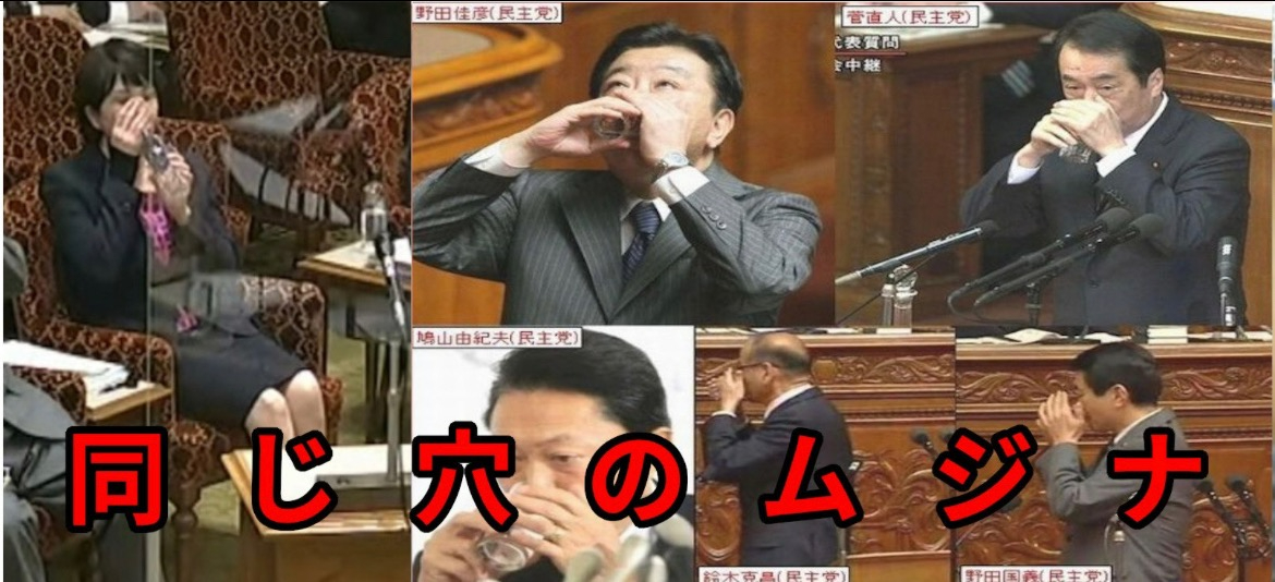 1EAC101B-131B-4D15-8DC1-52DAF7006707.jpeg