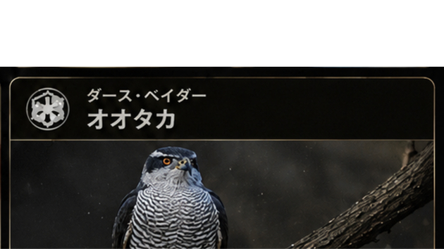 オオタカ1.png