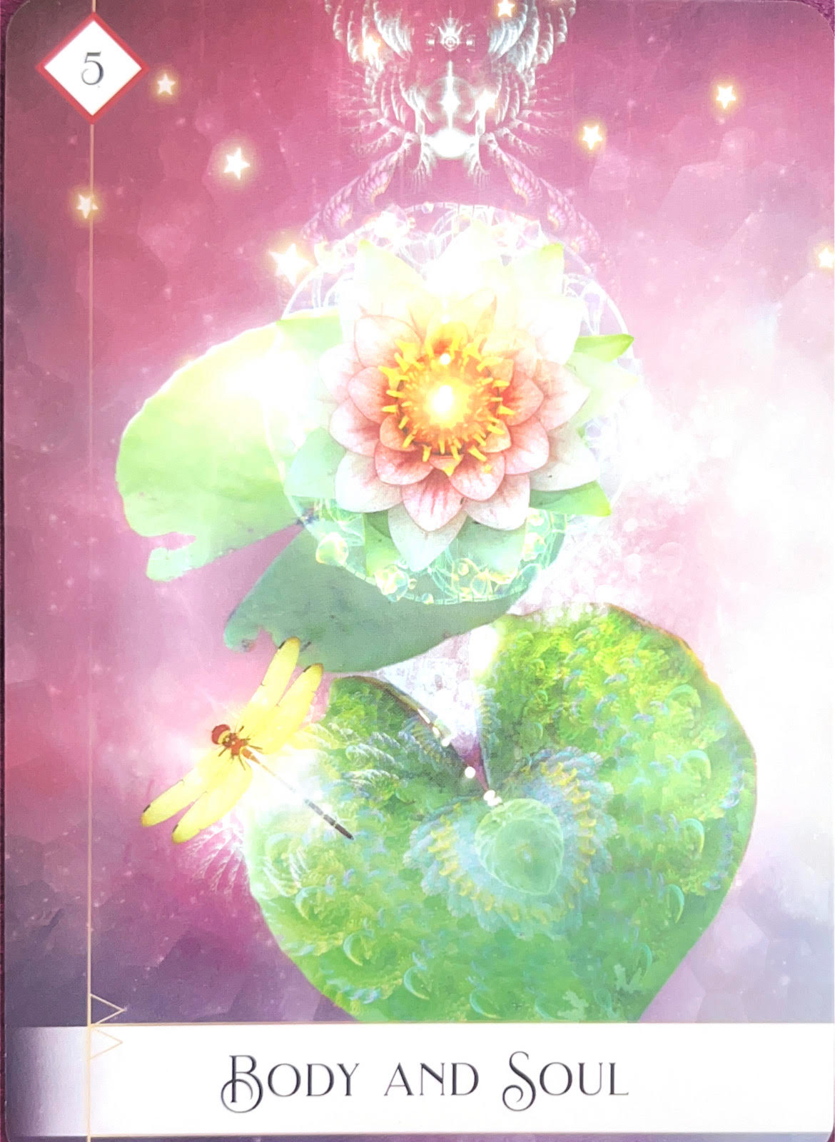 オラクル5.jpg