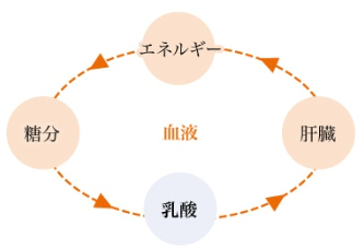 キャプチャ1.PNG