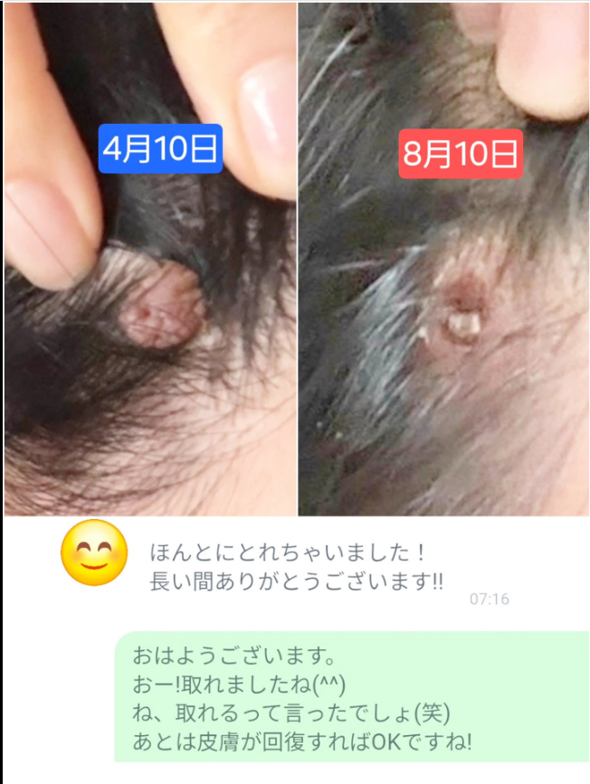 スクリーンショット 2026-08-11 133418.png