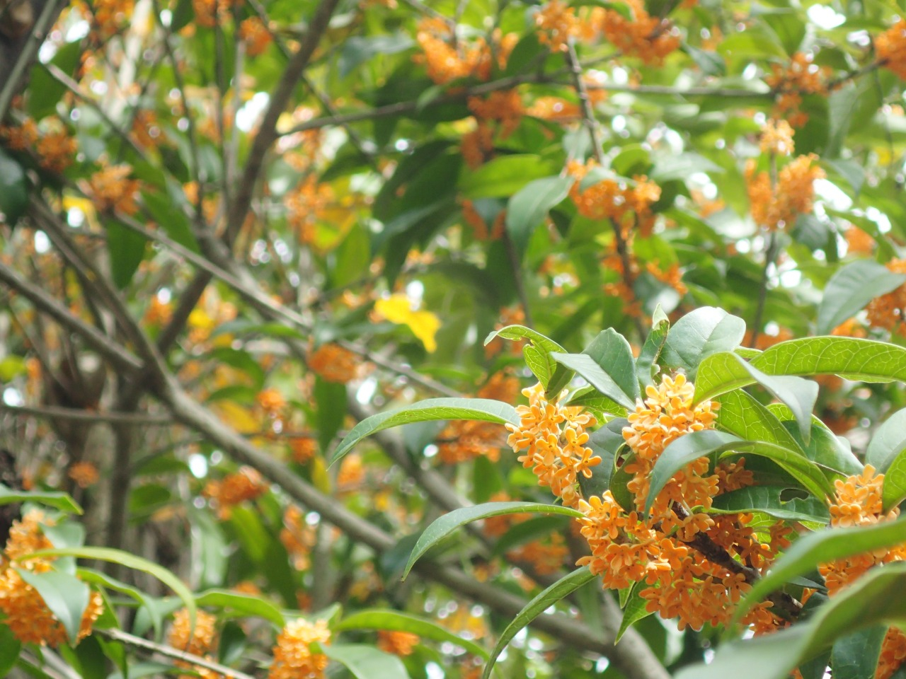 PA120518.JPG