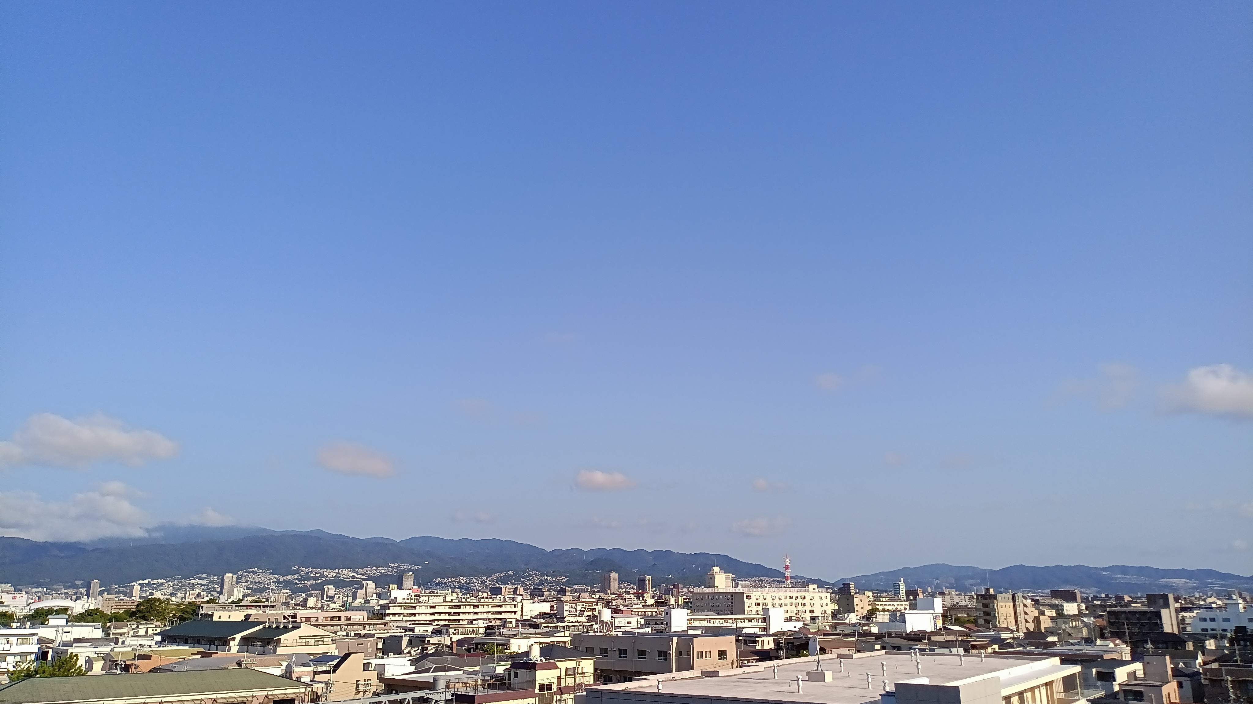 IMG_20250820_073625_321.jpg