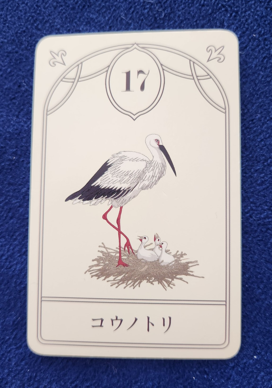 20231022_110913 (002).jpg