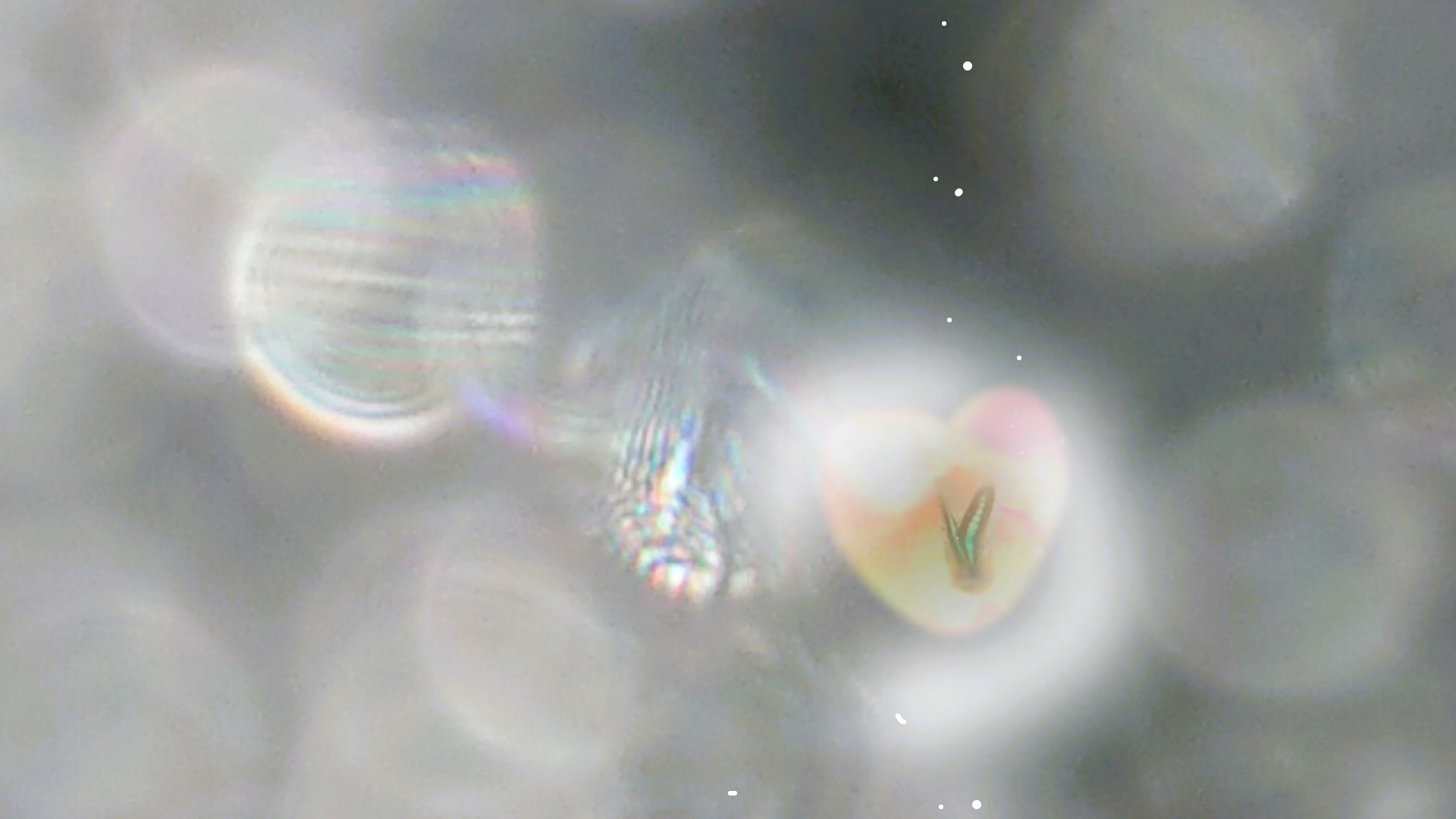 sketch-1706258197315mm2.png